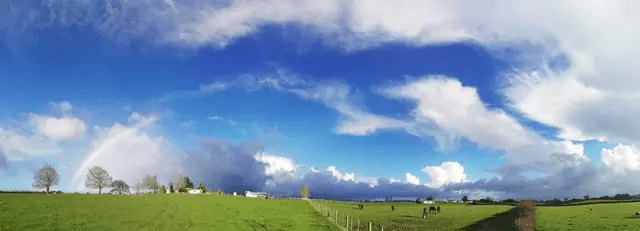 A panoramic view of paddocks and sky with a rainbow over the Koru Thoroughbreds property